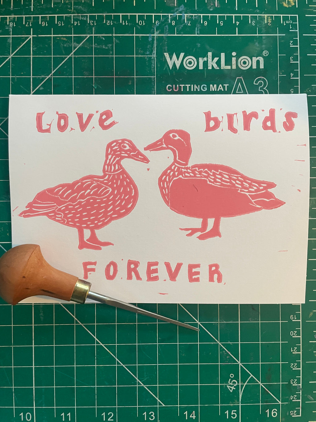 valentines card with pink ducks